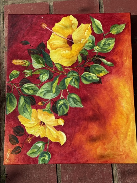 Yellow Hibiscus