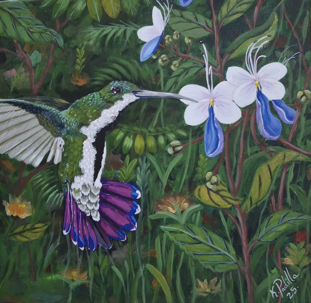 Hummingbird and the Butterfly Bush