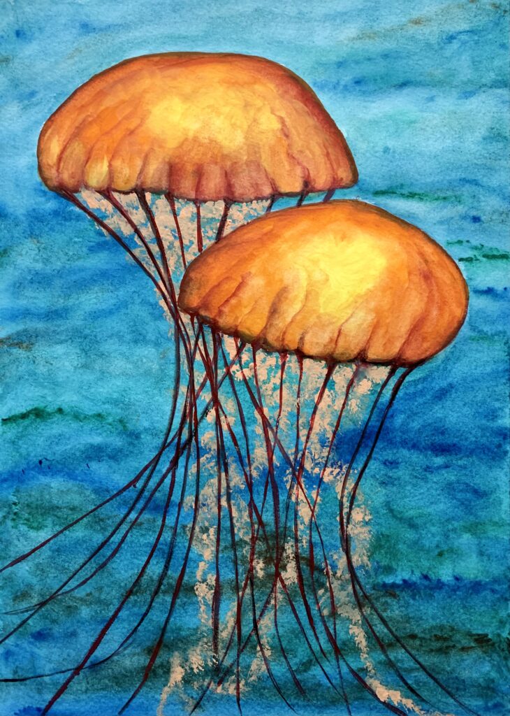 Flaming jellyfish